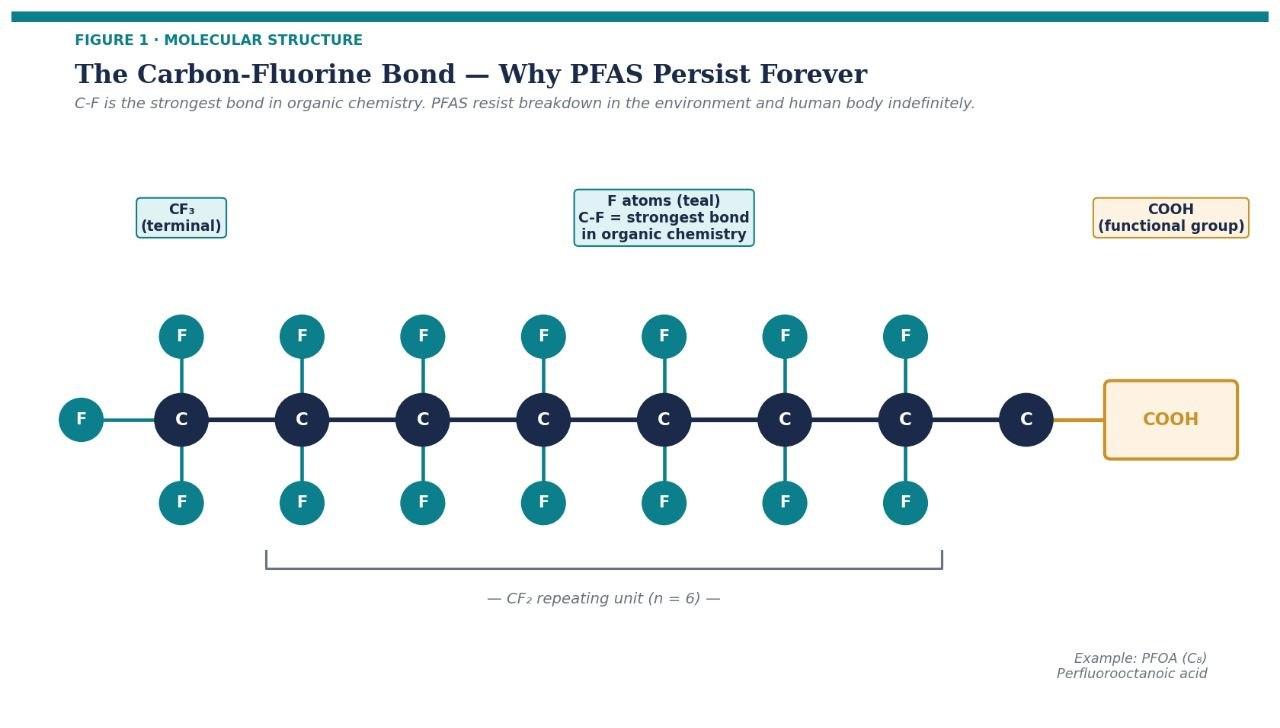 Figure 2: Molecular Structure of PFAS